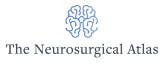 neurosurgical_atlas